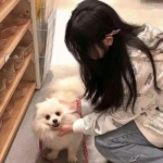 修罗道online手游bt版下载